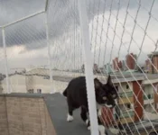 redes de proteção para sacadas